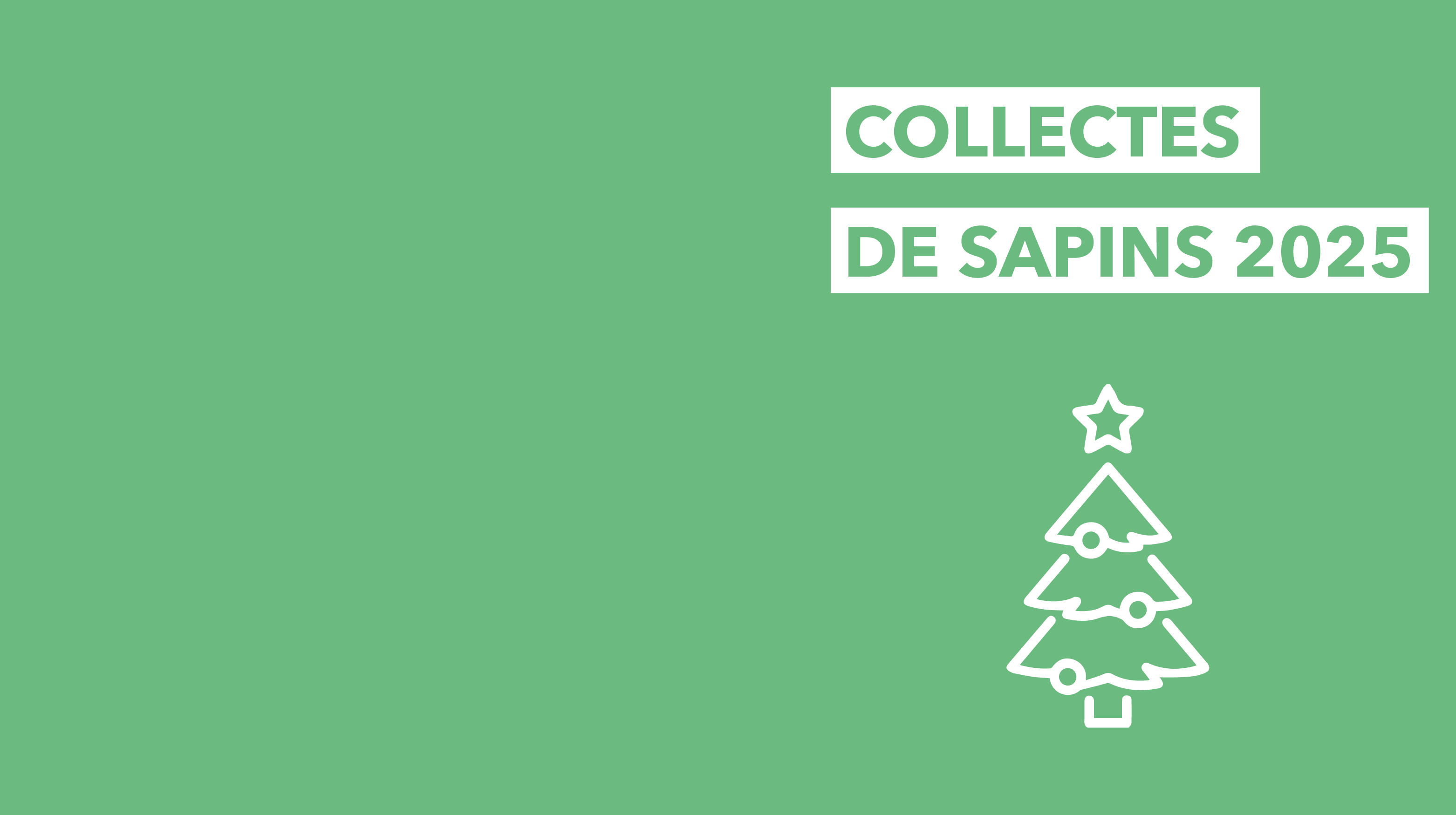 Collectes de sapins 2025