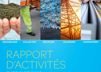 2013 - Rapport d'activités de l'ICDI
